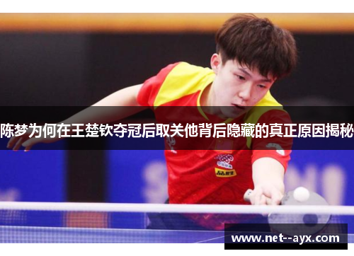 陈梦为何在王楚钦夺冠后取关他背后隐藏的真正原因揭秘