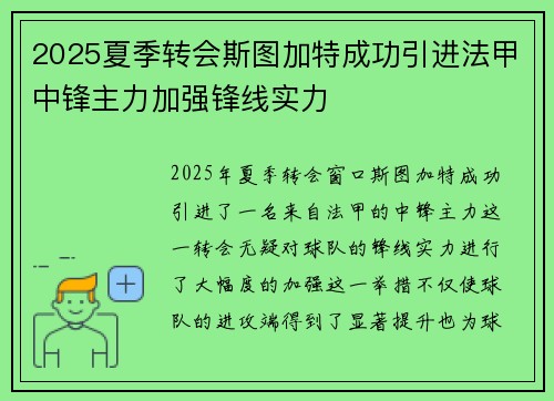 2025夏季转会斯图加特成功引进法甲中锋主力加强锋线实力