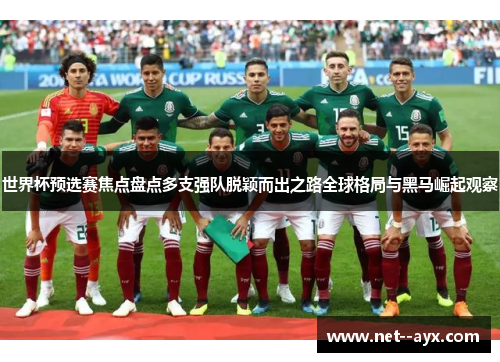 世界杯预选赛焦点盘点多支强队脱颖而出之路全球格局与黑马崛起观察
